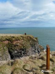 RSPB Fowlsheugh