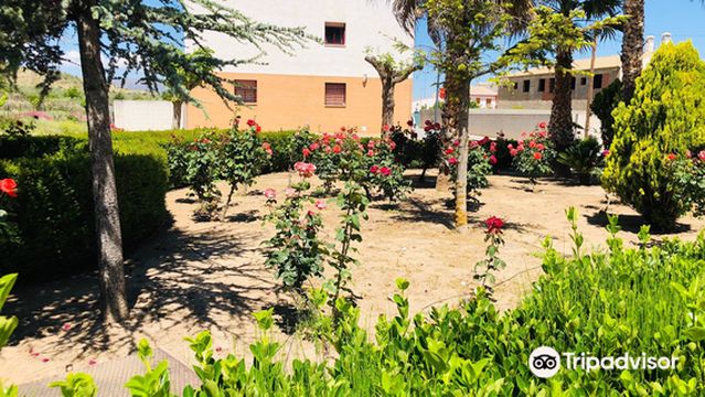 Nacimiento del Río Arbuniel