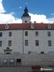 Stary Zamek Jevisovice