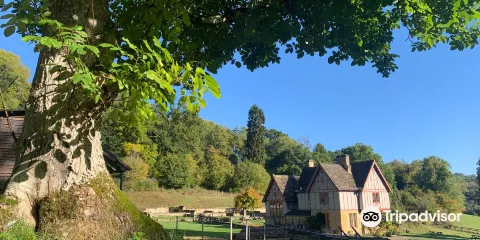 National Trust - Chedworth Roman Villa