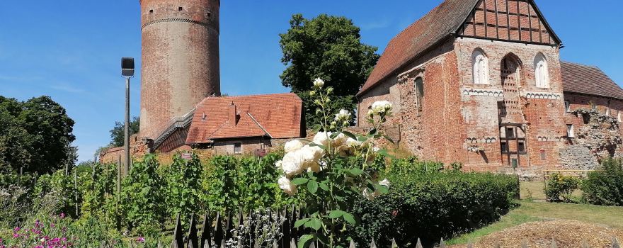 Burg Stargard