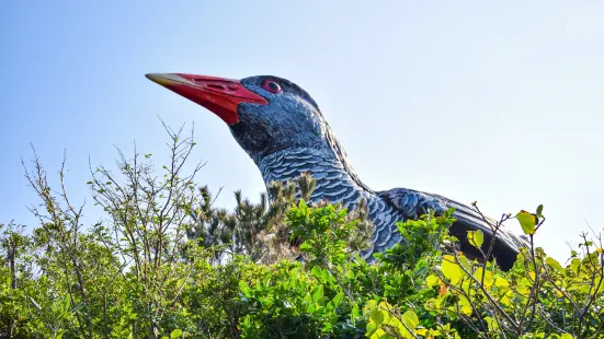 Okinawa Rail Observation Deck