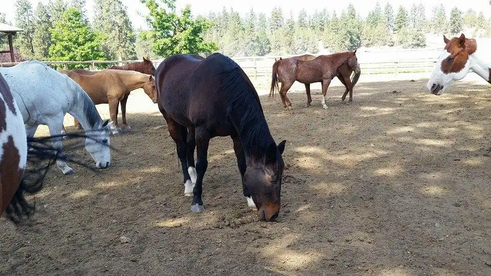 Hotels near Fly Spur Ranch