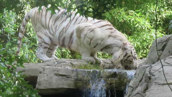 Zoo La Boissière du Doré