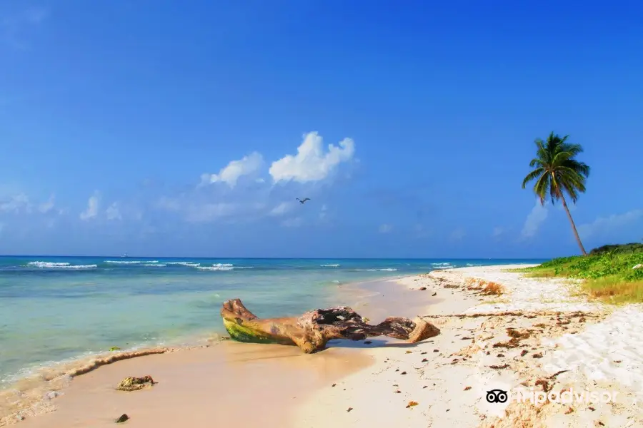 Playa Punta Esmeralda