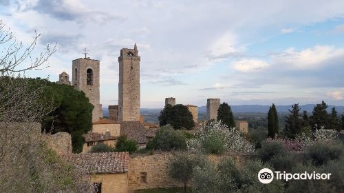 Rocca of Montestaffoli