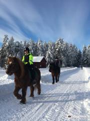 Hasselö and Sladö