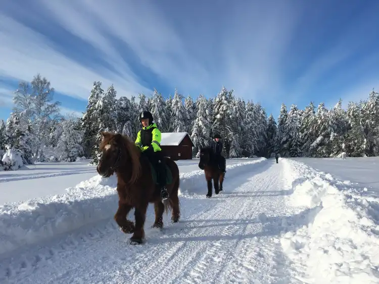 Hotels near Västerviks Ställplats Welux