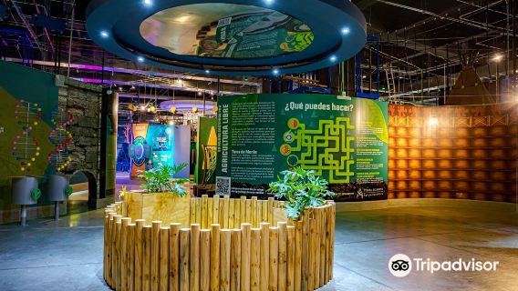 Acuario Michin Puebla