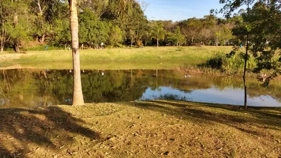 テレザ・マイア公園