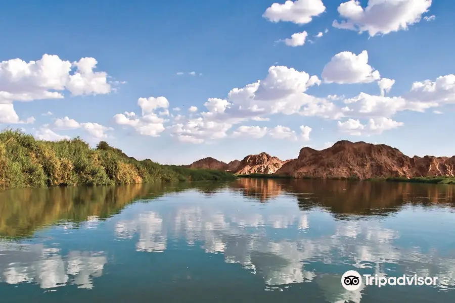 Picacho State Recreation Area