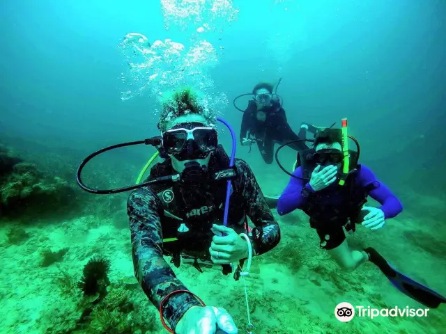 Kota Kinabalu Diving