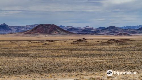 Lunar Crater Volcanic Field