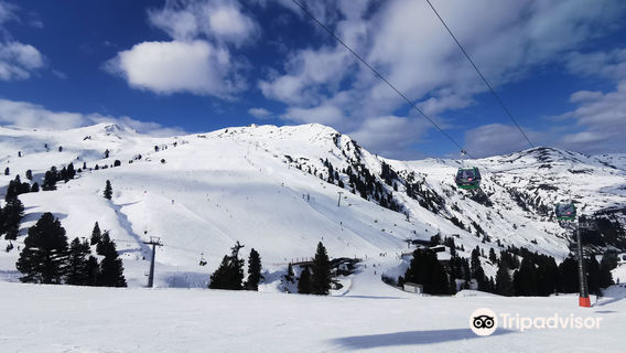 Skischule Neukirchen