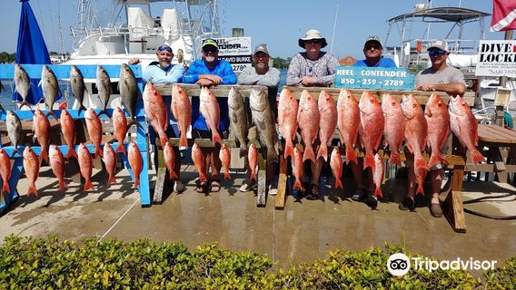 The Reel Contender Fishing Charter