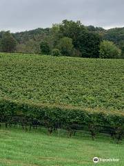 Setter Ridge Vineyards