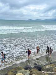 Paekakariki Beach