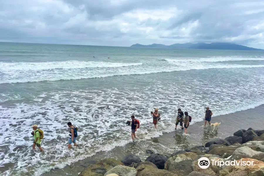 Paekakariki Beach