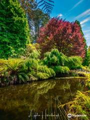 Dandenong Ranges Botanic Garden