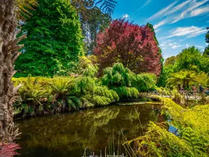 Dandenong Ranges Botanic Garden