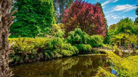 Dandenong Ranges Botanic Garden