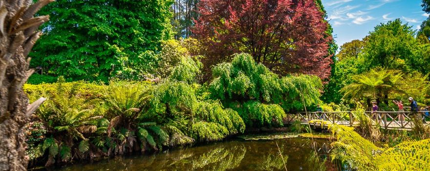 Dandenong Ranges Botanic Garden
