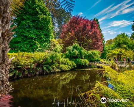 Dandenong Ranges Botanic Garden
