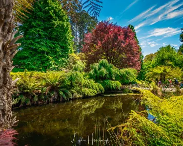 National Rhododendron Gardens