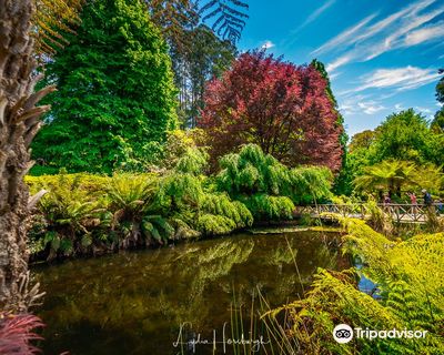Dandenong Ranges Botanic Garden
