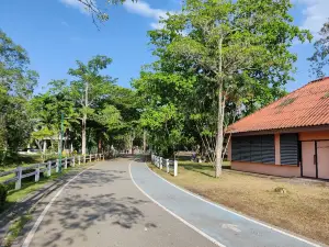 Kok Lamphu Public Park