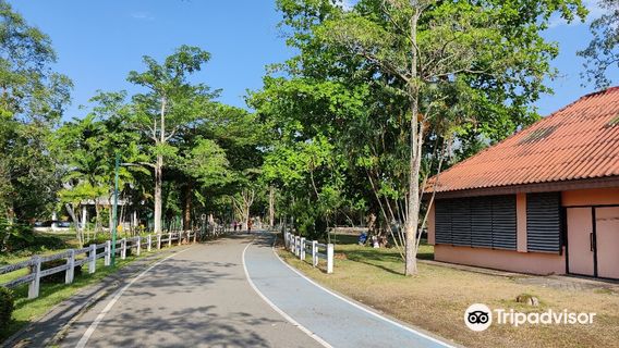 Ko Lamphu Park