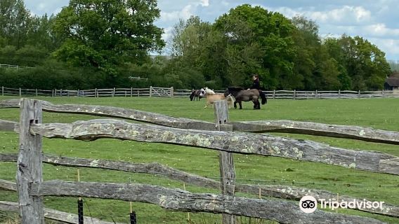 Raystede Centre for Animal Welfare