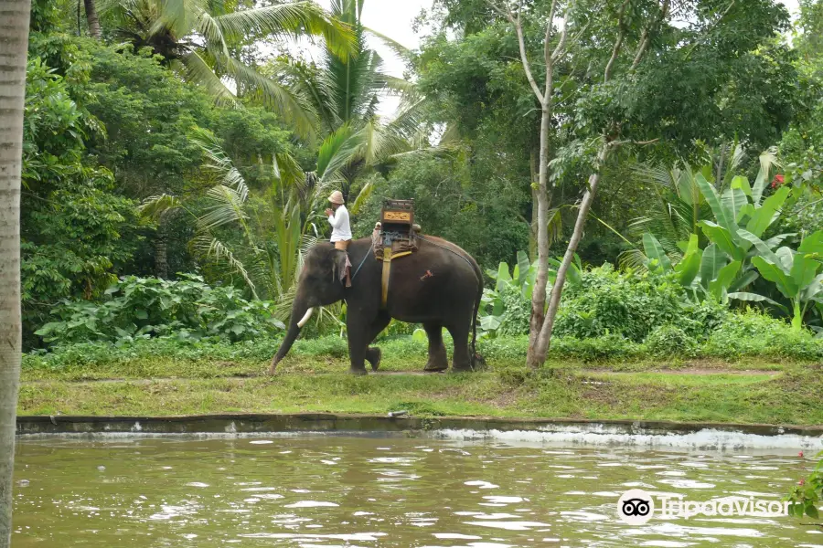 Bali Elephant Camp (Carangsari)