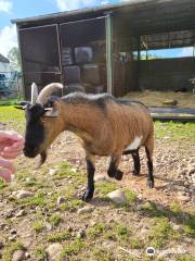 Mossburn Community Farm