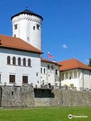 Schloss Budatín