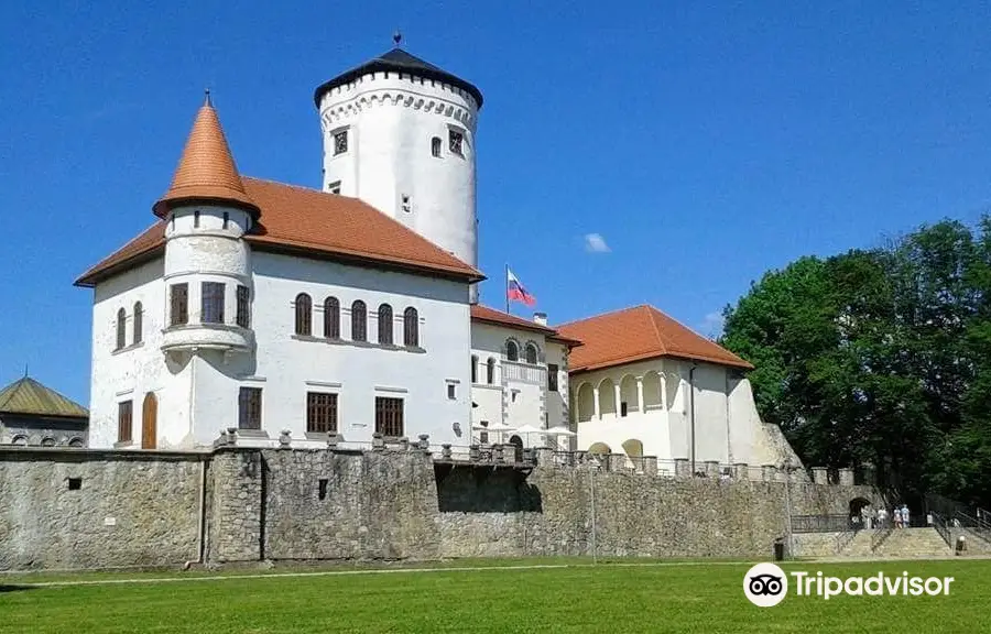 Budatín castle