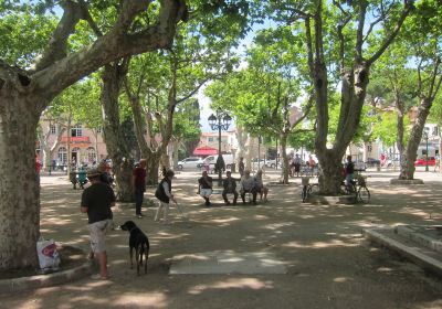 Port de Saint-Tropez