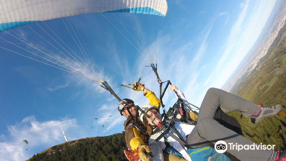 Action Parapente