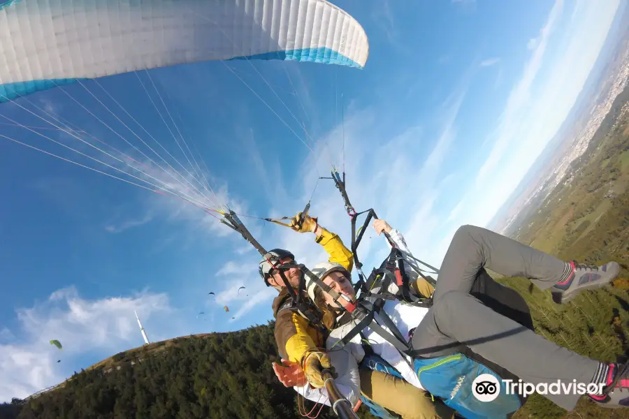 Action Parapente