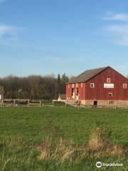 Bronte Creek Provincial Park