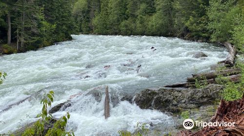 Cheakamus River