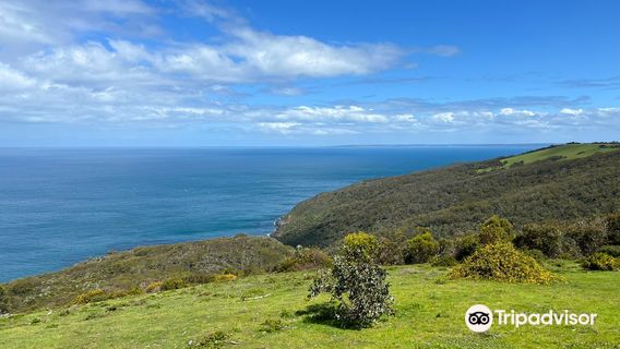 Cape Jervis