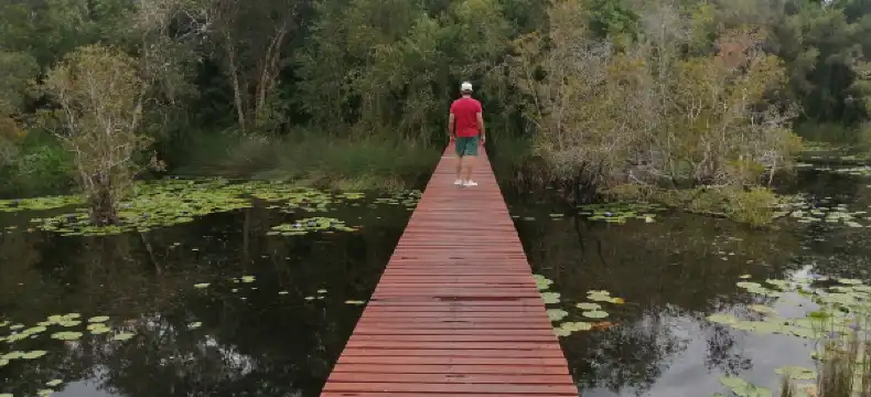 โรงแรมในตำบล ชากพง