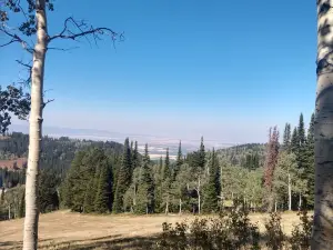 Forêt nationale de Caribou-Targhee