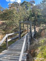 Bald Hill walking track