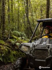 On Yer Bike! Quad bike, Offroad Buggy & Hagglund Adventures