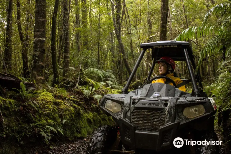 On Yer Bike! Quad bike, Offroad Buggy & Hagglund Adventures