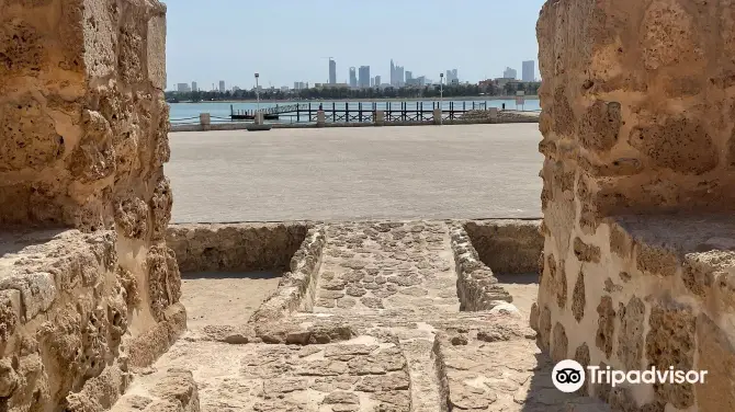 2_Arad Fort