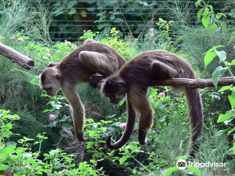 Ramat Gan Safari