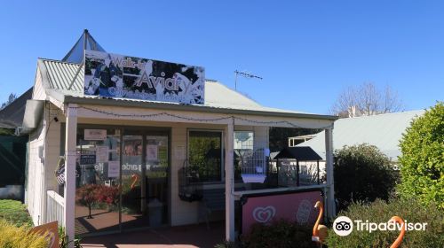 Canberra Walk in Aviary